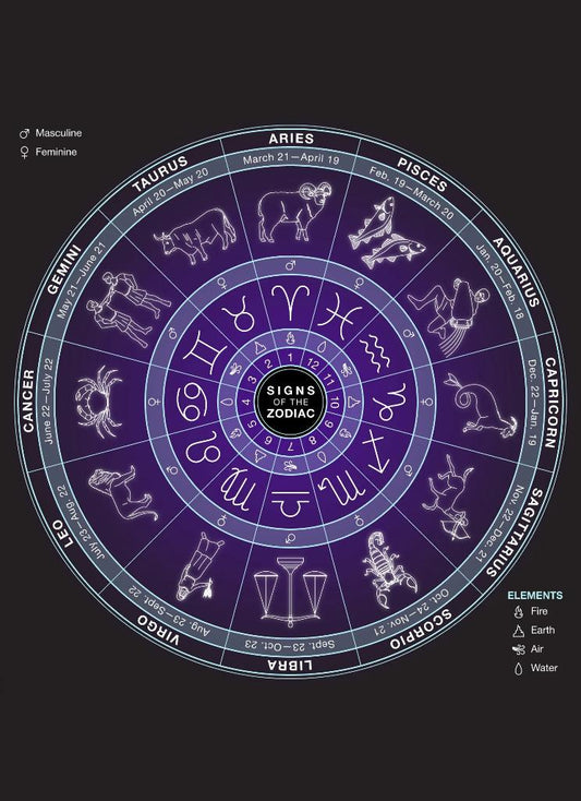 925 Ayar Balık Burcu Burç Çarkı Unisex Gümüş Kolye 45-55cm