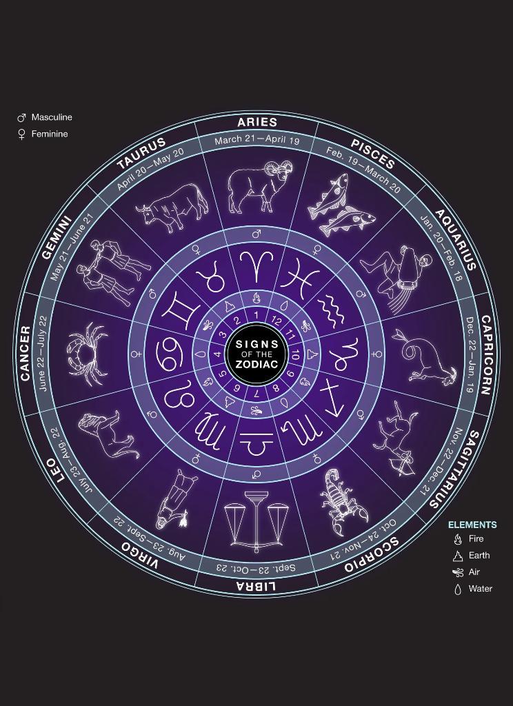 925 Ayar Başak Burcu Burç Çarkı Unisex Gümüş Kolye 45-55cm