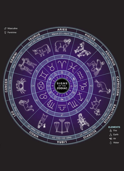 925 Ayar Başak Burcu Burç Çarkı Unisex Gümüş Kolye 45-55cm